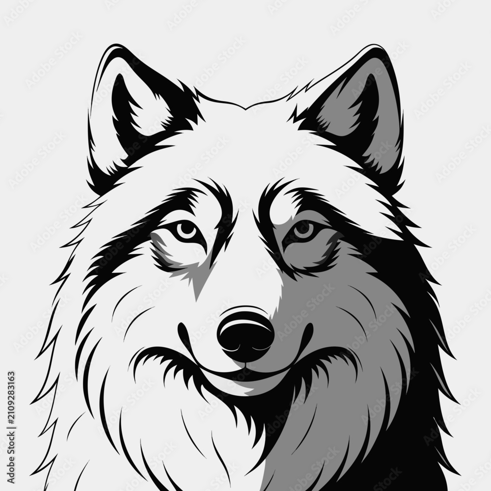 Fototapeta premium Black and white wolf head portrait illustration