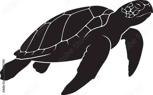 Cuadro en lienzo Black silhouette of a swimming sea turtle, of a marine reptile with detailed she