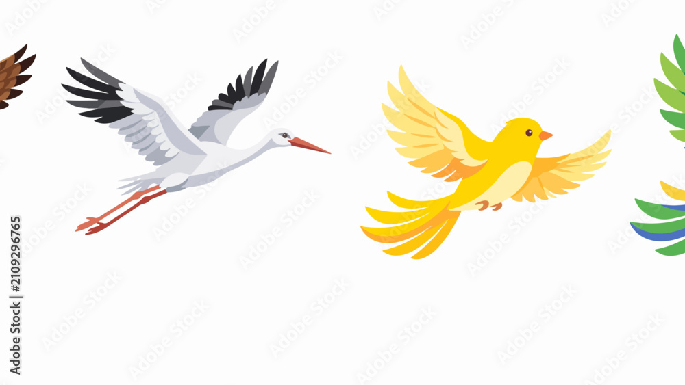Naklejka premium Colorful Wild Birds isolated on white background