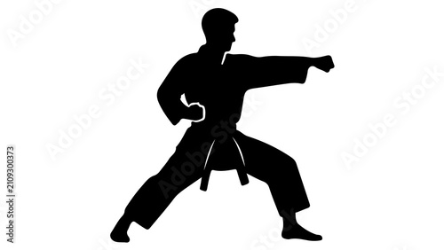 Obraz na płótnie Martial Arts Karate Silhouette Fighter Action Pose Graphic Design