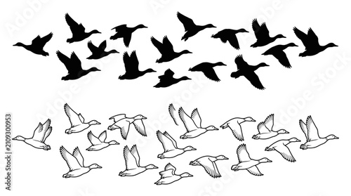 Flying geese silhouettes and line art on a white background