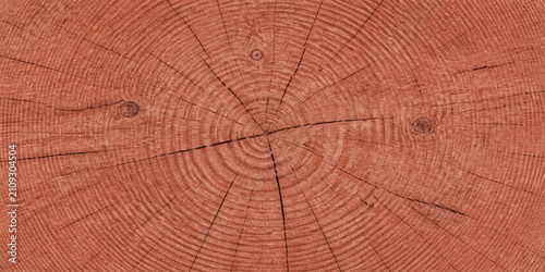 Bild auf Leinwand Wood Grain Texture: A close-up view of a rustic wood grain, showcasing the natural pattern of growth rings and imperfections that tell a story of time and nature's artistry