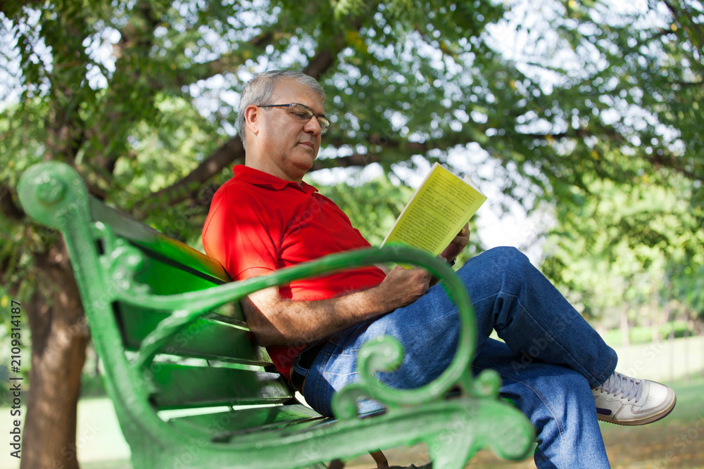 Fototapeta premium Senior man reading a book in a park
