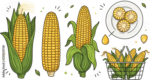 Bild auf Leinwand Fresh Sweet Corn Harvest Vector Set Featuring Maize Cob Husk Metal Wire Shopping
