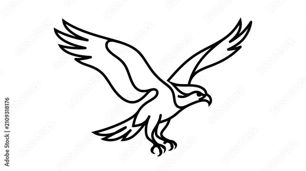 Fototapeta premium Diving eagle attacking with talons extended sketch