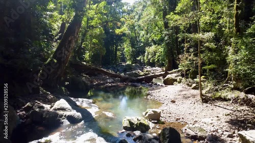 Aerial landscape of rainforest mountains near Warrie Circuit