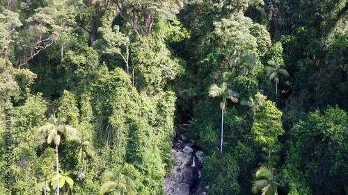 Drone view over Springbrook rainforest and mountain valley