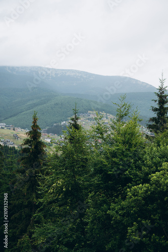 Scenic panoramic view of the Carpathian Mountains with lush green forests