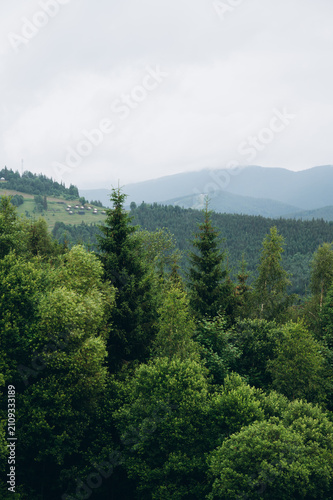 Scenic panoramic view of the Carpathian Mountains with lush green forests