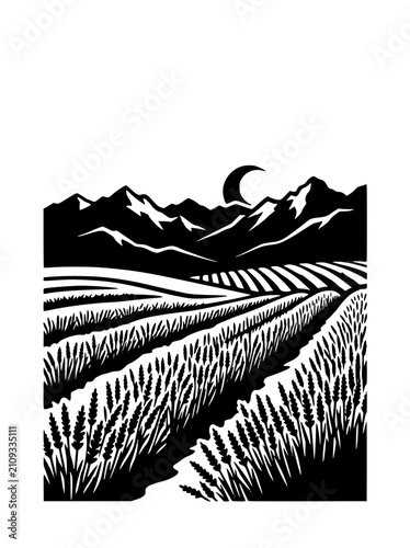Woodcut landscape illustration of lavender fields mountains and crescent moon