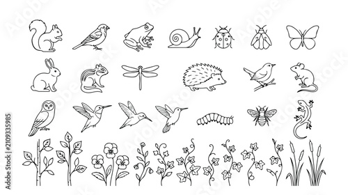 Photography Nature and wildlife line art vector icon set, hand-drawn animal and plant illustrations, perfect for educational materials and outdoor themes, 30 black and white outline graphics