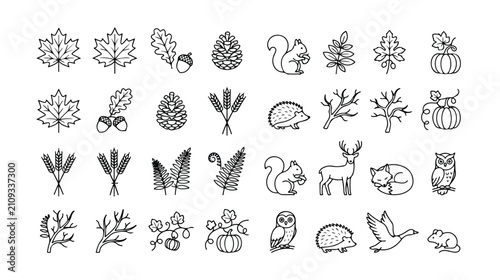 Foto Autumn nature line art icon set, fall season vector collection, harvest time graphic elements, woodland animals and forest plant illustrations for seasonal design