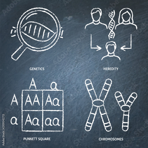 Genetics and heredity chalkboard icon set. Vector illustration