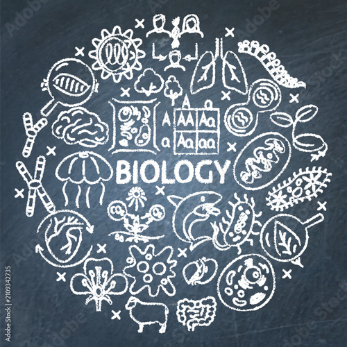 Biology round poster on chalkboard. Vector illustration