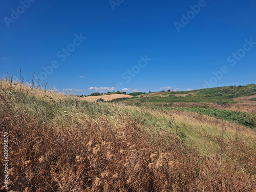 summer and scenic view of a hilly countryside panorama