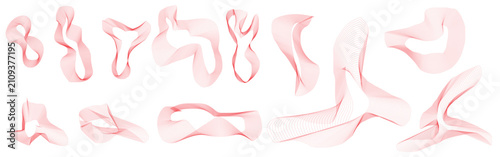 Dynamic Modern Fluid Line Wave Graphic Elements Collection Isolated On White Background
