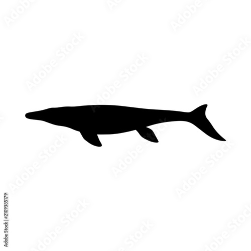 Foto Silhouette of a prehistoric mosasaurus marine reptile swimming.