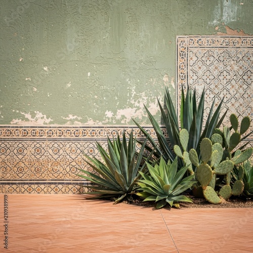 A rustic terracotta patio features lush green agave and prickly pear plants against a weathered sage wall with intricate geometric patterns, flora, architecture, desert