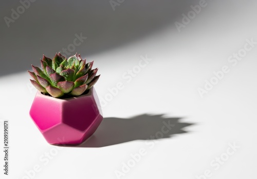 A tiny ceramic succulent planter sits alone on a seamless bright white surface, casting a soft shadow under clean studio lighting, still, background, aesthetic