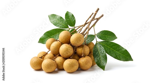 A bunch of fresh longan fruit with green leaves isolated on white background.