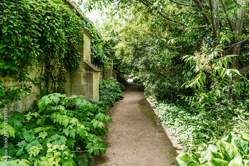 Lush vegetation in the University of Oxford Botanic Garden, the oldest botanic garden in Britain, founded in 1621, Oxford, England, UK. 