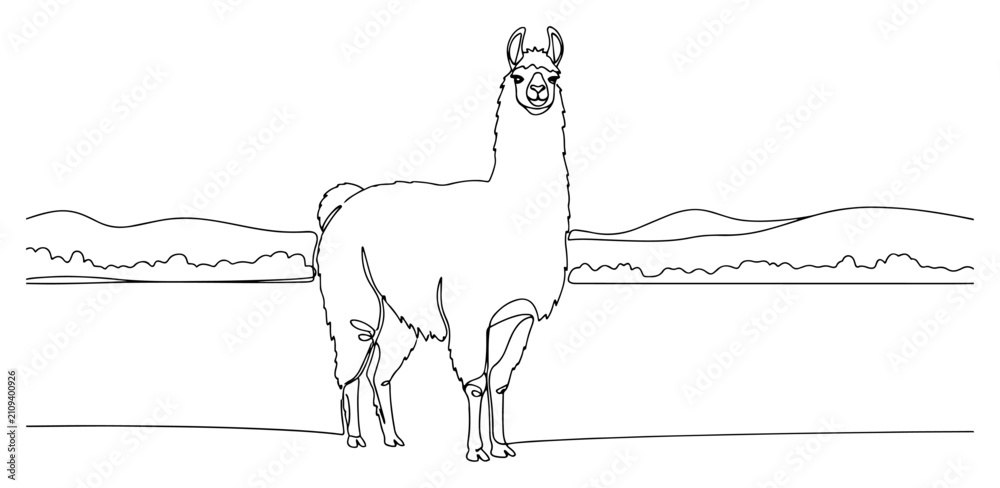 Fototapeta premium Llama standing in landscape continuous one line art style, minimalist alpaca and nature illustration for travel