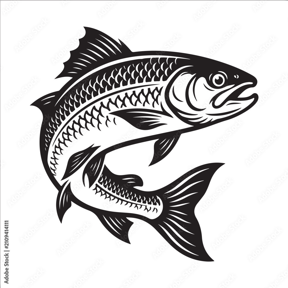 Fototapeta premium fish on a white background