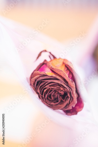 Dried dead rose flower bouquet close up
