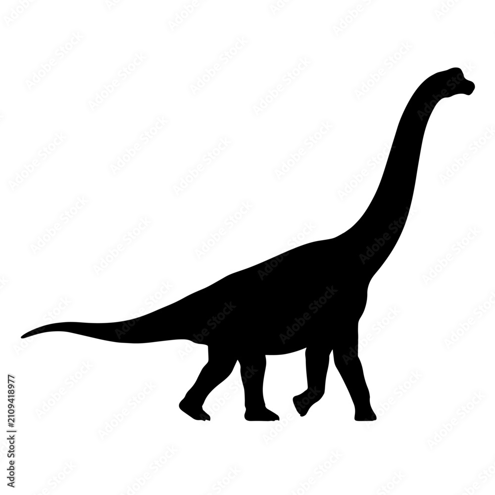 Fototapeta premium Black silhouette of a long neck dinosaur sauropod isolated on white background.