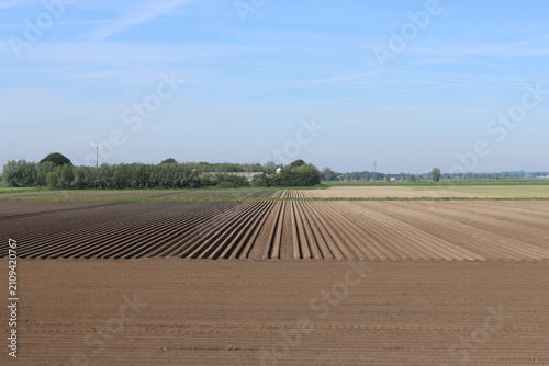 Canvas Print Ridges and furrows in a ploughed field