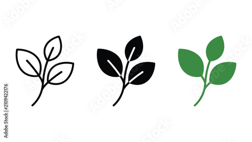 Three leaves botanical illustration set in different graphic styles