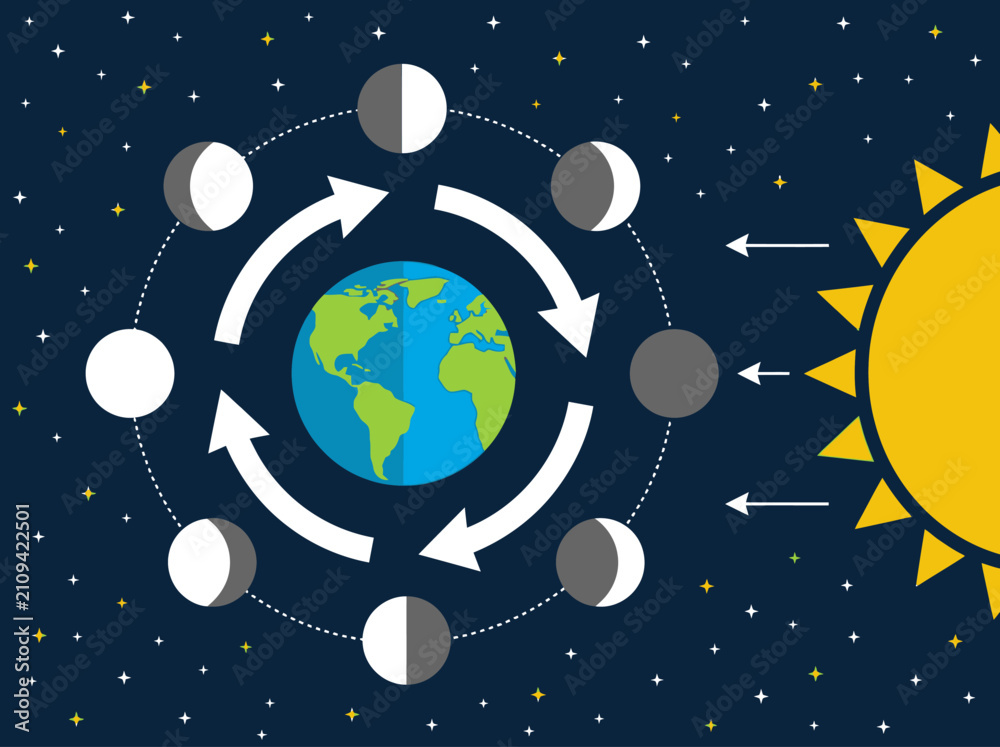 Naklejka premium Moon Phases Diagram Showing Lunar Cycle Around Earth and Sun Light
