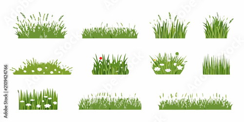 Foto Collection Of Grass And Meadow Vegetation Vector Illustrations On White Backgrou