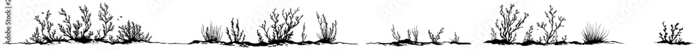 Obraz premium Horizontal set of small wild plants shrubs and meadow weeds silhouettes elements