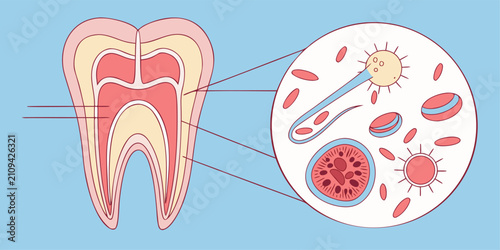 Photos Damaged tooth illustrating dental caries and enamel deterioration clearly