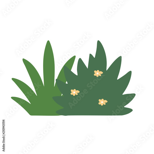 Green bush and grass illustration. Flat vector shrub element for garden design.