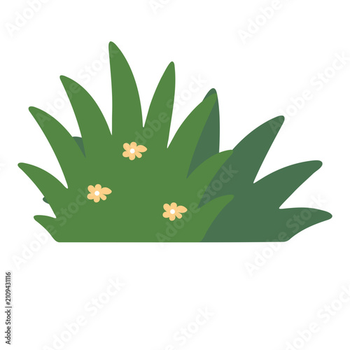 Green grass bush with small flowers. Flat vector illustration of a garden plant element.
