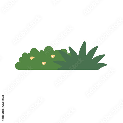 Green bush with small flowers. Flat vector illustration of a garden shrub.