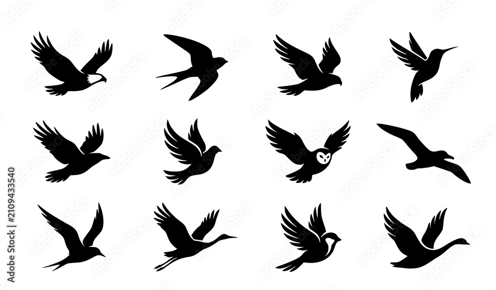 Fototapeta premium Elegant Flying Bird Silhouette Vector Set Minimal Black Animal Icons for Logo Branding and Creative Design