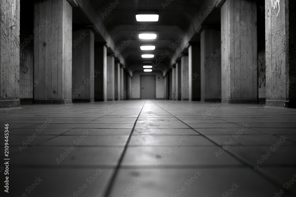 Obraz premium The Industrial Corridor: A Monochrome Long Hallway Receding into Light