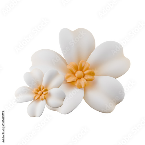 Bild auf Leinwand 3D illustration of a two white flower ornaments with yellow centers PNG
