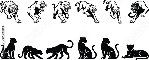 Photography Dynamic panther illustrations in attacking poses and calm silhouettes, wild feli
