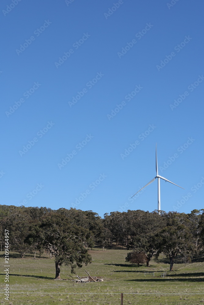 Obraz premium Single Wind Turbine Rising Above Eucalyptus Forest in Rural Australia