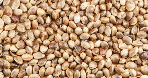 Macro shot of organic hemp seeds texture background. Natural cannabis seeds for healthy eating, extreme close-up.