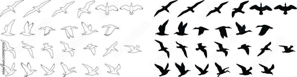Fototapeta premium Flying Seagull Birds Big Collection Line Art and Silhouette Vector Icon Set