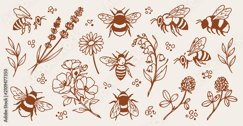 Fotografie honeybee garden seamless pattern, hand drawn lavender flowers line art, apicultu
