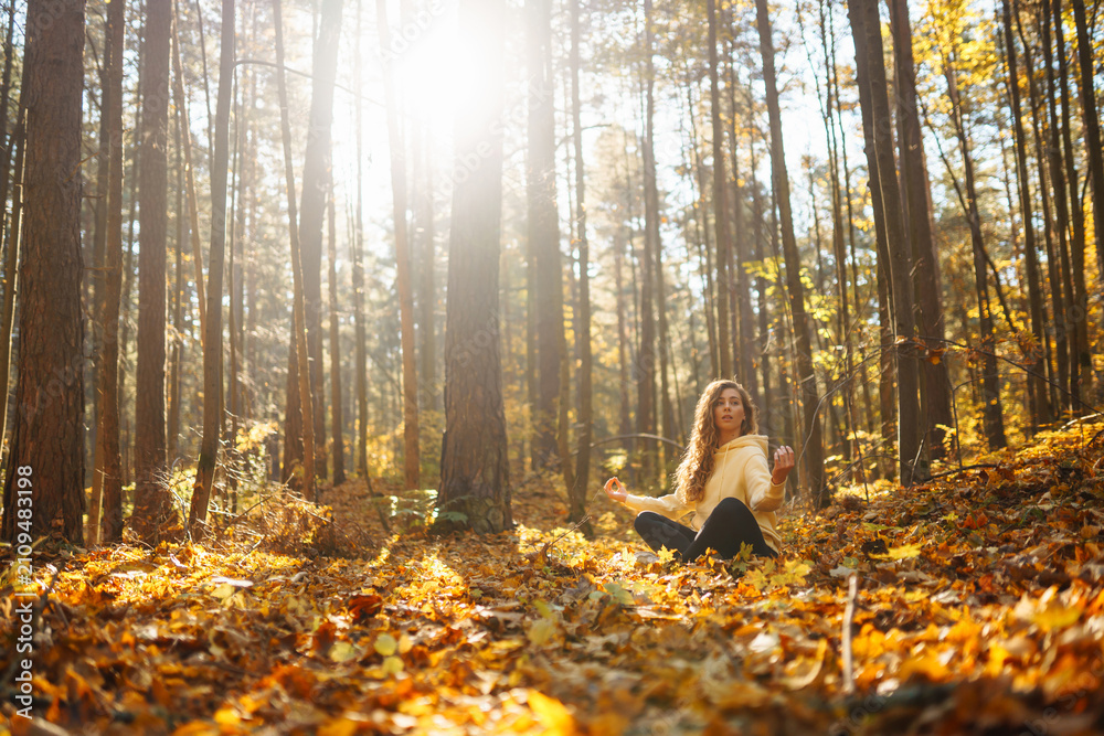 Fototapeta premium A young woman practices yoga in an autumn forest at sunset.Woman meditates while standing in autumn clearing in forest. Concept of meditation, tranquility, and enjoyment.