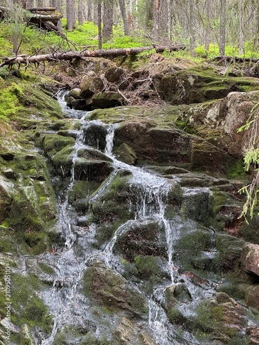 Small waterfall stream flowing through a green forest in northern Sweden during summer, surrounded by natural wilderness.