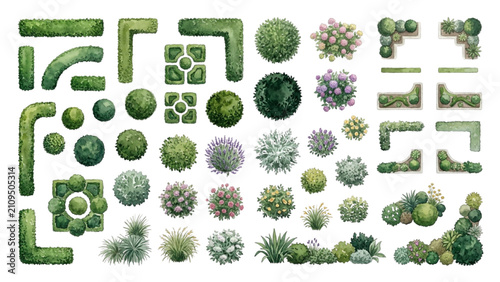 Architectural Watercolor Ornamental Hedge and Shrub Landscape Symbol Vector Collection