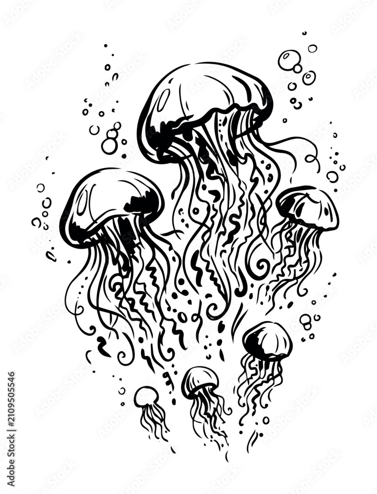 Fototapeta premium Group of jellyfish with flowing tentacles underwater